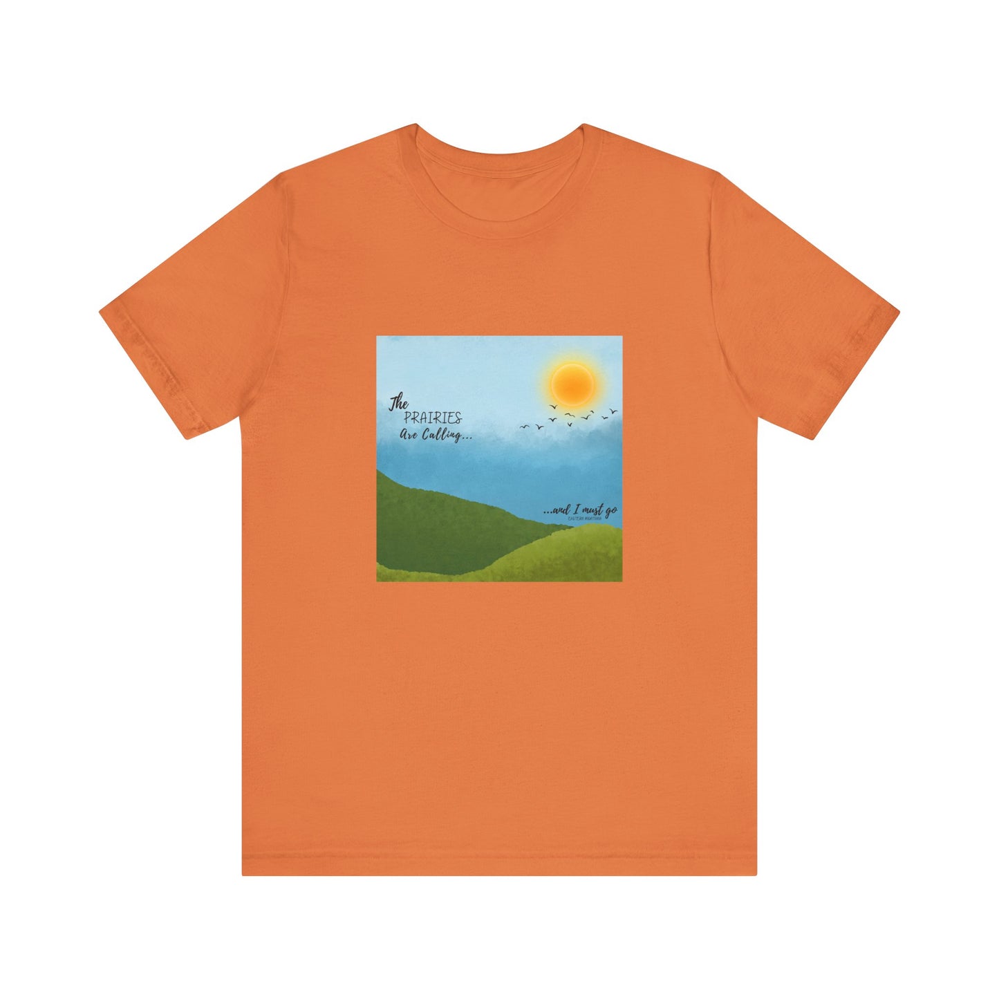 The Prairies Are Calling Eastern Montana Unisex Tee graphic tee